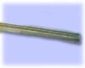 Close-up of a green stem or twig against a light blue background