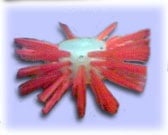 Arrangement of red and orange arrows pointing outward in a circular pattern around a central glowing yellow-green sphere on a blue background