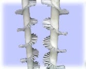 Spinal column model showing vertebrae with nerve roots extending from each side against a light blue background